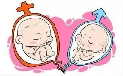 靠谱借卵代怀多少费用